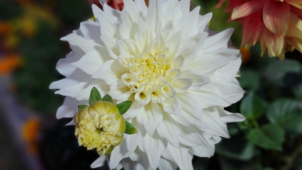 Unveiling the Digital Frontier: Exploring the Limitless Potential of Electronic Glasses