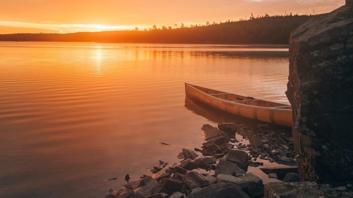 Unlocking the Secrets: Exploring the Boundaries of Privacy with Electronic Diaries – Unveiling Features and Uses