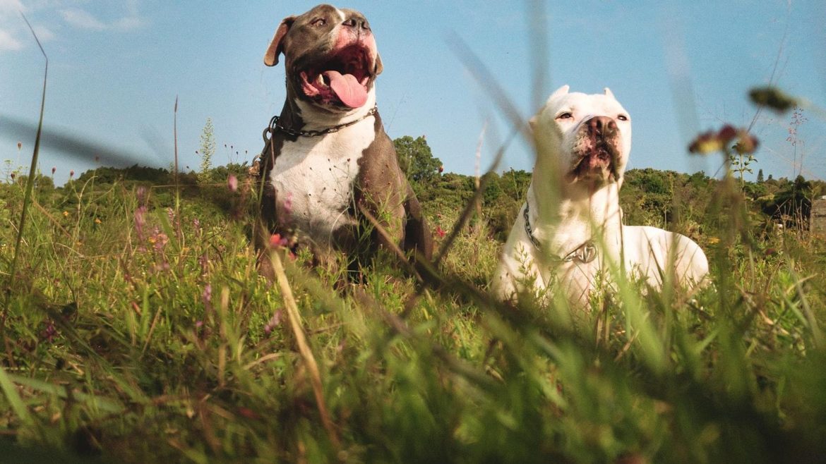 Can Your John Hancock Go Digital? Navigating the Legality and Security of Electronic Signatures