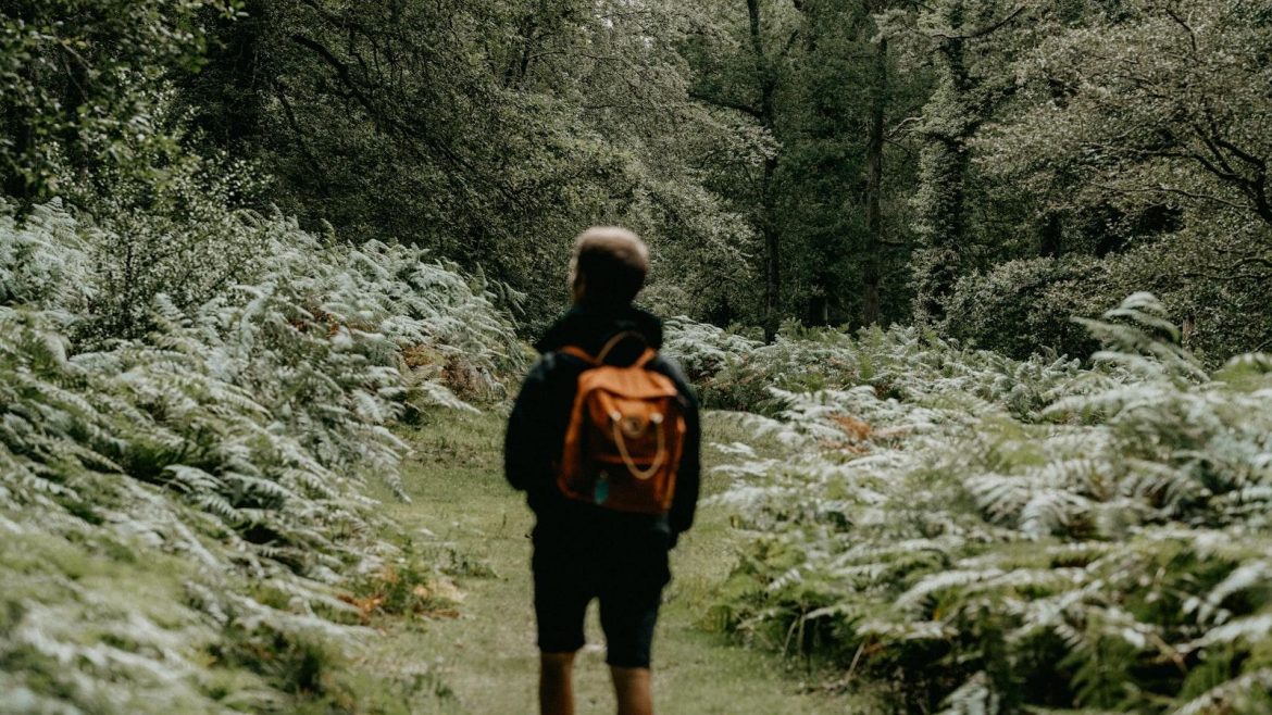 Navigating Your World: Uncovering the Practical and Intriguing Features of Electronic Maps