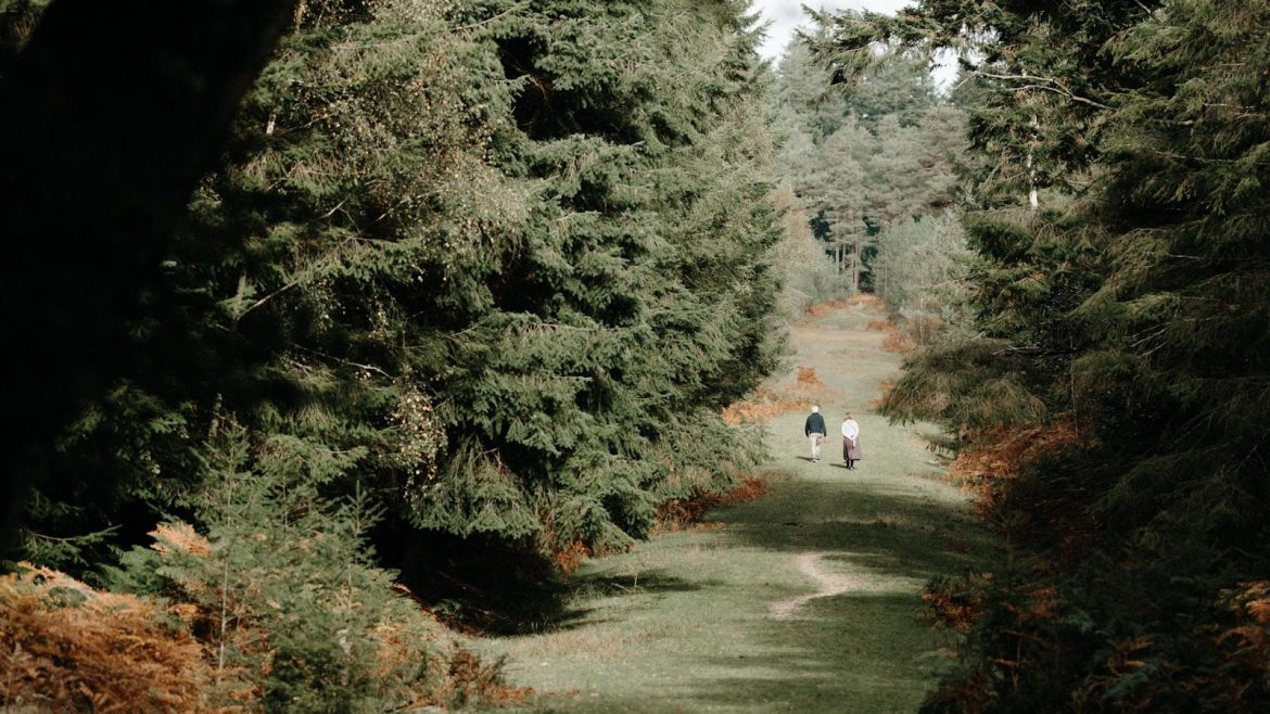 Exploring the Pros and Cons of E-Book Readers: What You Need to Know