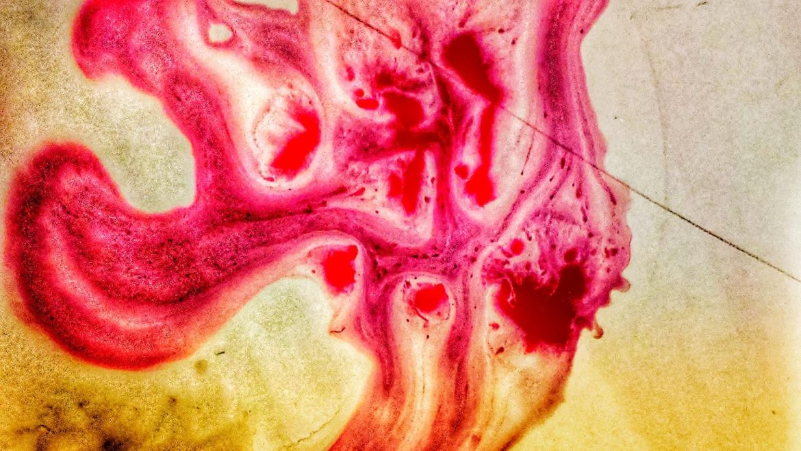 The Digital Dilemma: Navigating the Impact of Video Games on Kids – A Guide for Parents