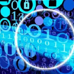 Exploring the Dual Benefits of ​Electronic Diaries: Personal Reflection and Data‍ Security